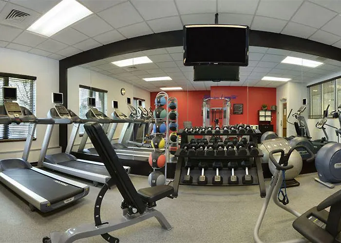 Hotel Hilton Garden Chicago O'hare Airport 3*
