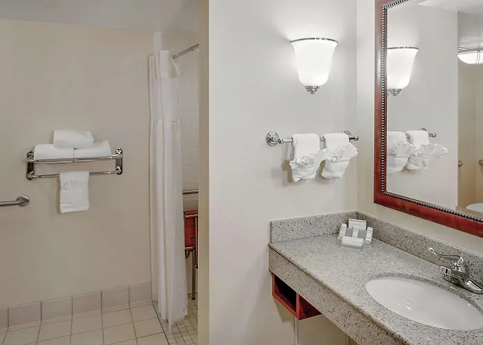 Hilton Garden Chicago O'hare Airport Des Plaines