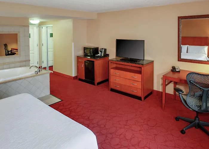 Hotel Hilton Garden Chicago O'hare Airport 3*