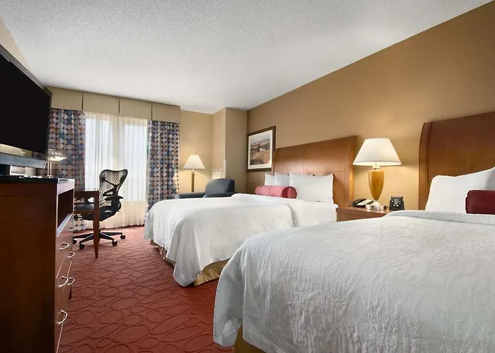 Hotel Hilton Garden Chicago O'hare Airport Des Plaines