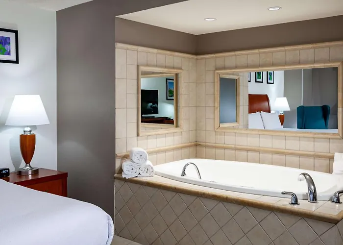 Hilton Garden Chicago O'hare Airport Des Plaines