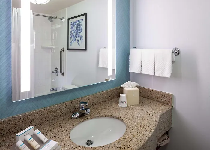 Hilton Garden Chicago O'hare Airport 3* Des Plaines