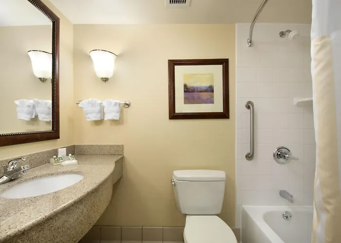 Hotel Hilton Garden Chicago O'hare Airport