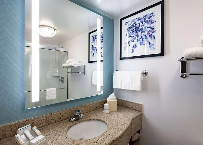 Hilton Garden Chicago O'hare Airport Hotel