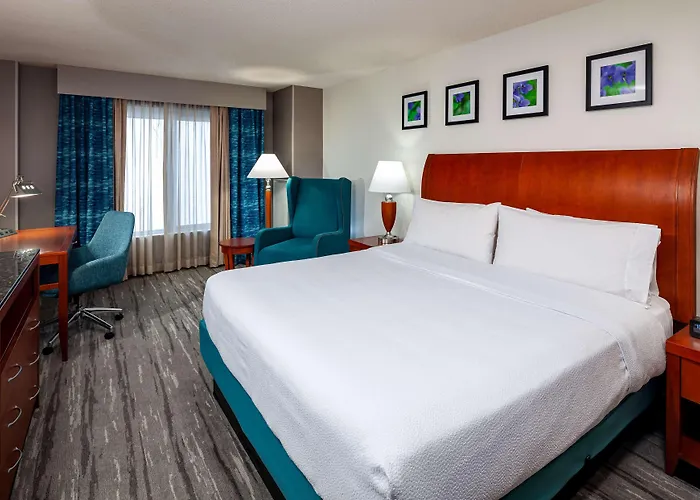 Hotel Hilton Garden Chicago O'hare Airport Des Plaines
