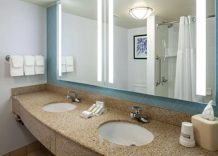 Hilton Garden Chicago O'hare Airport Hotel 3*