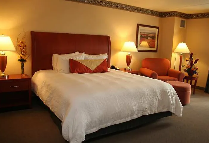 Hilton Garden Chicago O'hare Airport Des Plaines