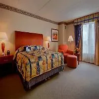 Hotel Hilton Garden Chicago O'hare Airport Des Plaines